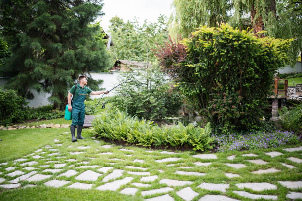 Best Best Pest Control Companies  in Westminster, SC
