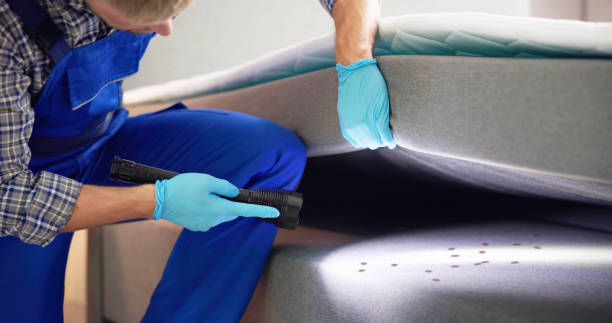 Best Emergency Pest Control  in Westminster, SC